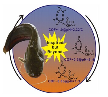 兰州化物所界面摩擦调控研究获系列进展 -- 正