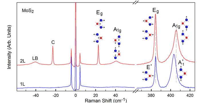 半导体所发表二维过渡金属硫族化合物材料声子