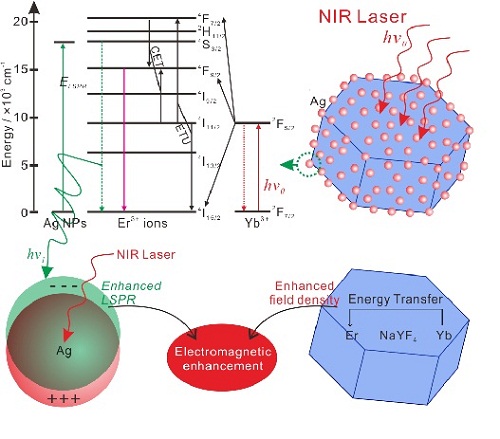 合肥研究院将上转换发光材料引入表面增强拉曼