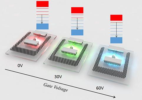 清华大学微电子所任天令教授课题组在《自然-