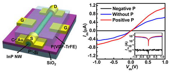 铁电局域场增强纳米线光电探测器研究获进展-