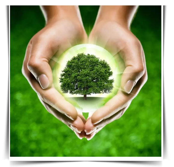 轻人将让中国成为科技超级大国!-中国光学期刊网