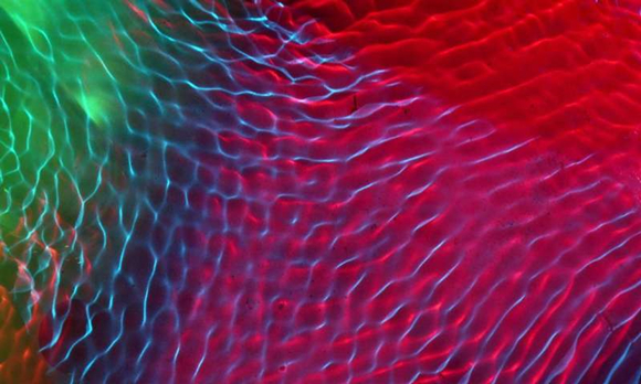 决百年物理难题,有望带动器件革命-中国光学期