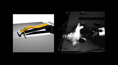 Nature:不会爬的高分子薄膜不是好薄膜-中国光