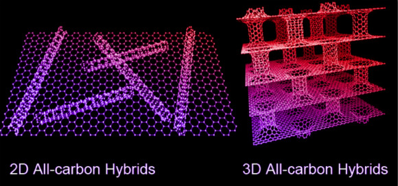 王枫秋教授课题组在碳基新颖光电器件领域取得