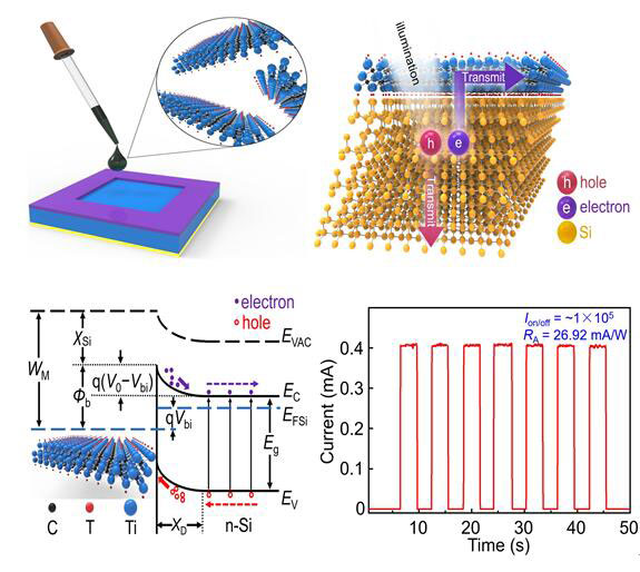 MXene\/n-Si范德华异质结的自驱动快速光电探