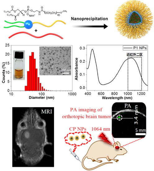 深圳先进院在脑胶质瘤多模态分子成像探针领域