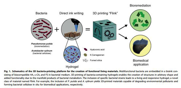 看如何3D打印细菌以制造功能性复杂材料?-中