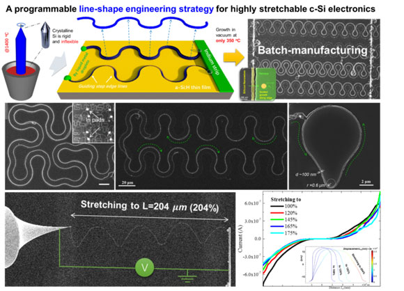《Nano Letters》报道电子学院余林蔚教授课题