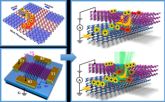 泰达应用物理研究院在层间转角可控二维材料研