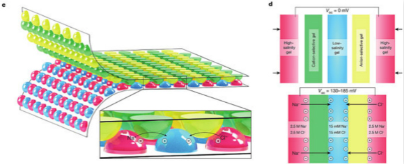 Nature:模仿电鳗放电,皮卡丘式柔性电源问世