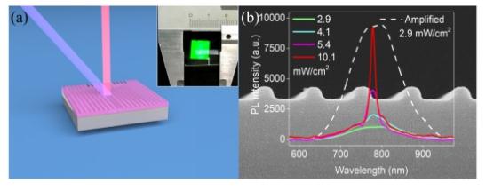 复旦大学陆明教授课题组研制成功首个全硅激光