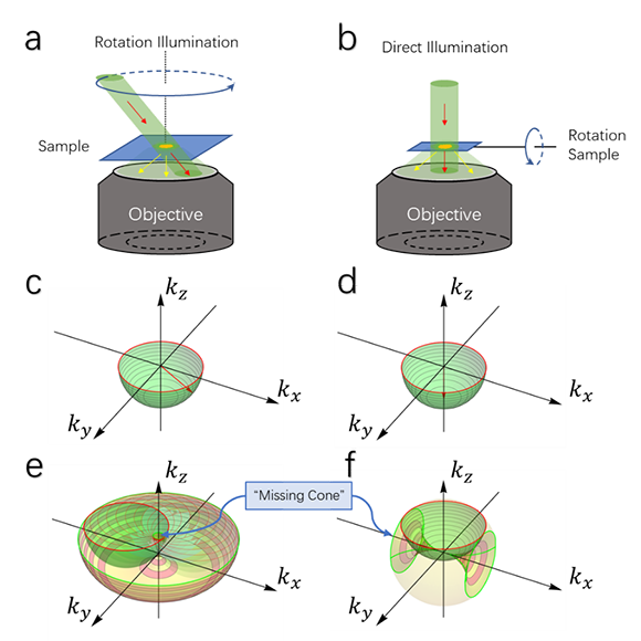 AP封面故事 (Vol.2, Iss.2): 深度学习重建红细胞光学断层3D结构