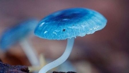 桌面壁纸