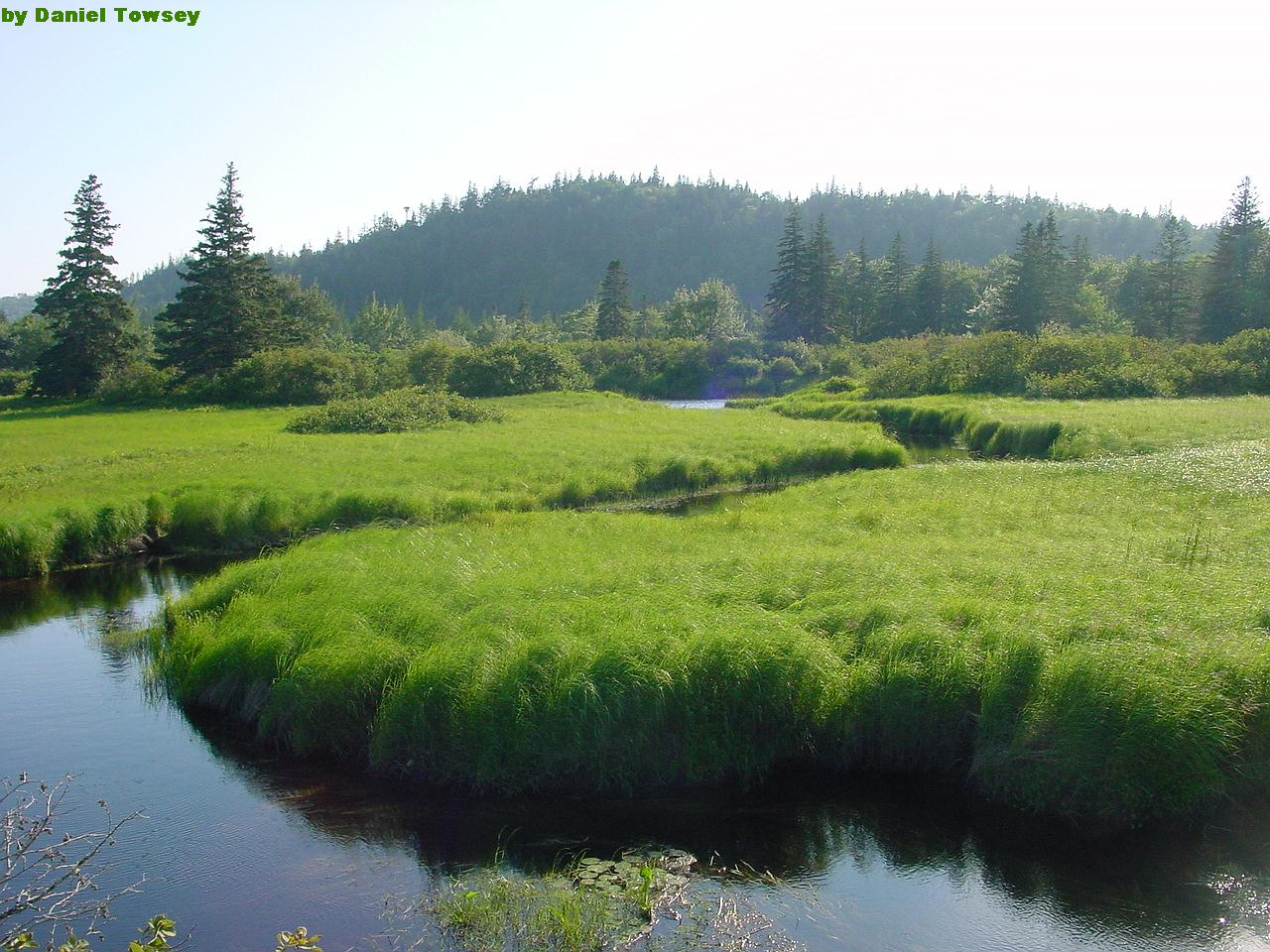 桌面壁纸+--+博客首页