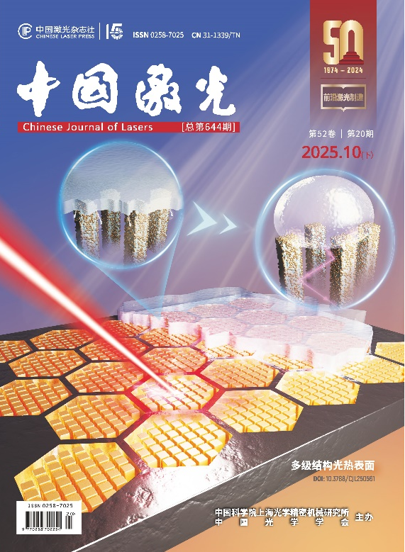 浙江工业大学姚建华教授：飞秒激光打造“防冰盔甲”，超疏水表面光热防冰