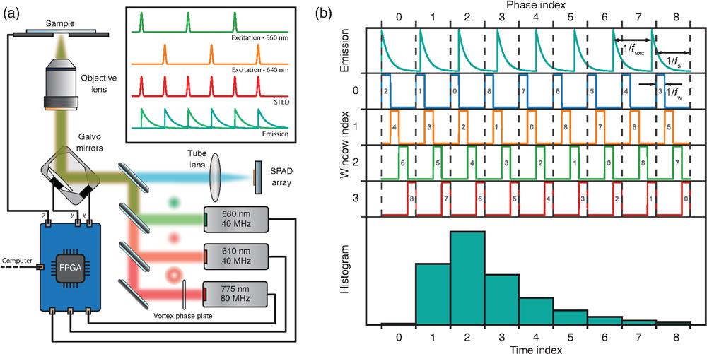 Setup and acquisition scheme. (a) Sketch of the STED-ISM custom microscope. The FPGA board controls two excitation lasers, a depletion laser, a couple of galvanometric mirrors, and a piezo-electric-controlled stage. The same FPGA board reads the output of each channel of the SPAD array detector. (b) Working principle of the heterodyne acquisition. The lifetime decay is sampled along multiple excitation periods using a detuned sampling frequency. The sampling accumulates a delay in each period, enabling data collection at different time points. Each sampling period is subsampled by short windows, boosting the temporal resolution.