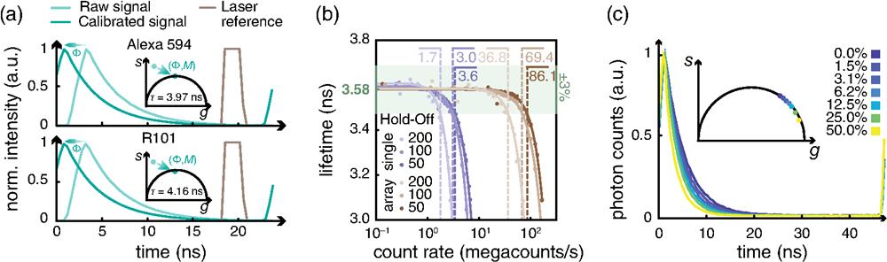 Validation of the DFD architecture. (a) Calibration procedure. The measured phasor is shifted and rescaled by the IRF calibration values. Additionally, each histogram is phase-shifted by the value provided by the trigger reference signal. Top, calibration of Alexa 594; bottom, calibration of Rhodamine 101. (b) Measured lifetime of an autofluorescent plastic slide as a function of the detected photon flux and of the hold-off time of the SPAD. The reported values are the saturation thresholds (in units of megacounts/s), defined as the flux at which lifetime estimation deteriorates by a factor larger than 3%. (c) Lifetime of a fluorescein solution at increasing concentration of a quencher, potassium iodide. We depict with the same colors the exponential curves and the corresponding phasors.
