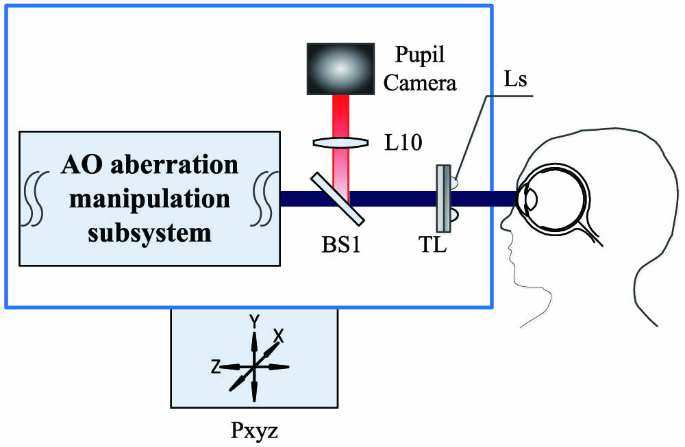 Schematic of the miniaturized AO system. L, lens; BS, beam splitter; TL, trial lens holder; Ls, LED source; Pxyz, three-dimensional traveling platform.