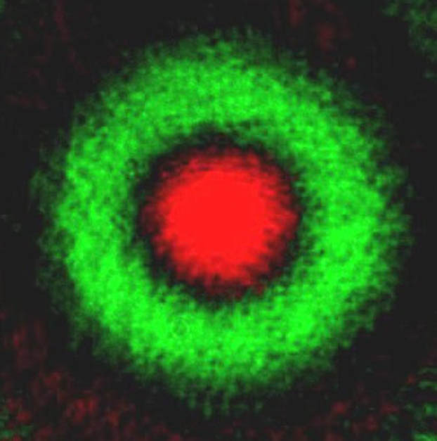 Experimental result that is captured by a CCD camera.