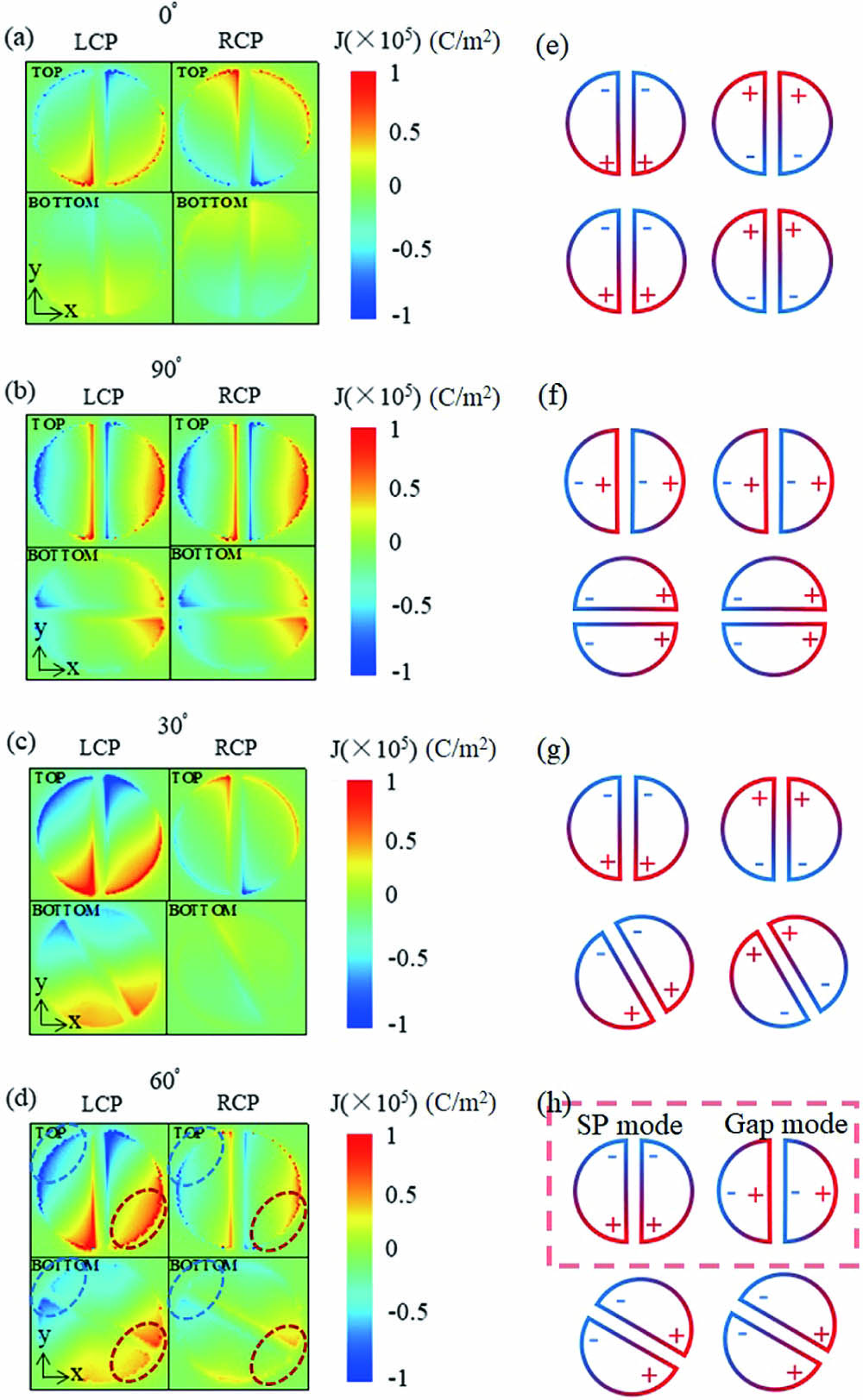 Simulated charge distributions of the top and bottom nanogaps twistedly stacked with (a) 0o, (b) 90o, (c) 30o, and (d) 60o, excited with LCP and RCP plane waves at the wavelength of 1550 nm, respectively. Simple drawing for charge oscillations of the same structures with the twisted angle of (e) 0o, (f) 90o, (g) 30o, and (h) 60o, excited with LCP and RCP plane waves at the wavelength of 1550 nm, respectively. Inset in (h): SP mode and gap mode for the same structure with LCP and RCP plane waves, respectively.