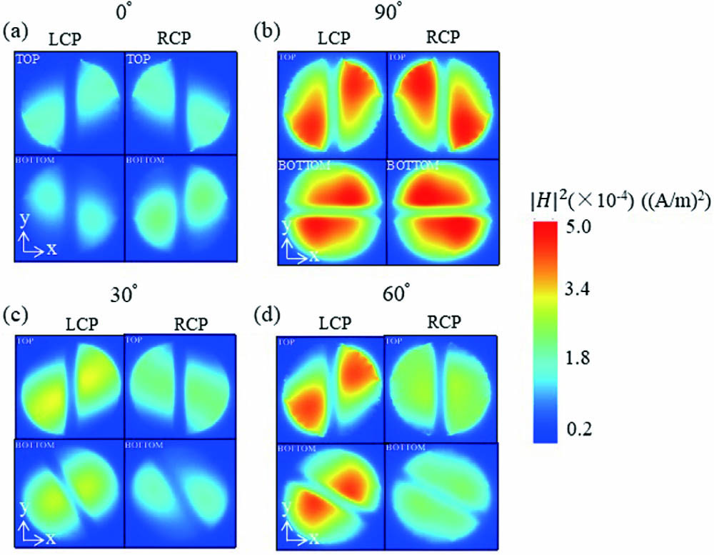 Calculated magnetic near-field distributions of top and bottom nanogaps twistedly stacked with (a) 0°, (b) 90°, (c) 30°, and (d) 60°, excited with LCP and RCP plane waves at the wavelength of 1550 nm, respectively.