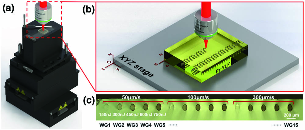Laser emission from low-loss cladding waveguides in Pr:YLF