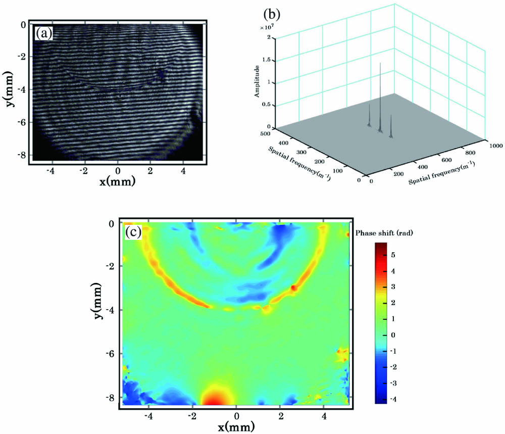 (a) Interferogram image of the laser acoustic wave at delay time 0.8 µs, (b) 2D FFT result, and (c) phase distortion as a false color image.