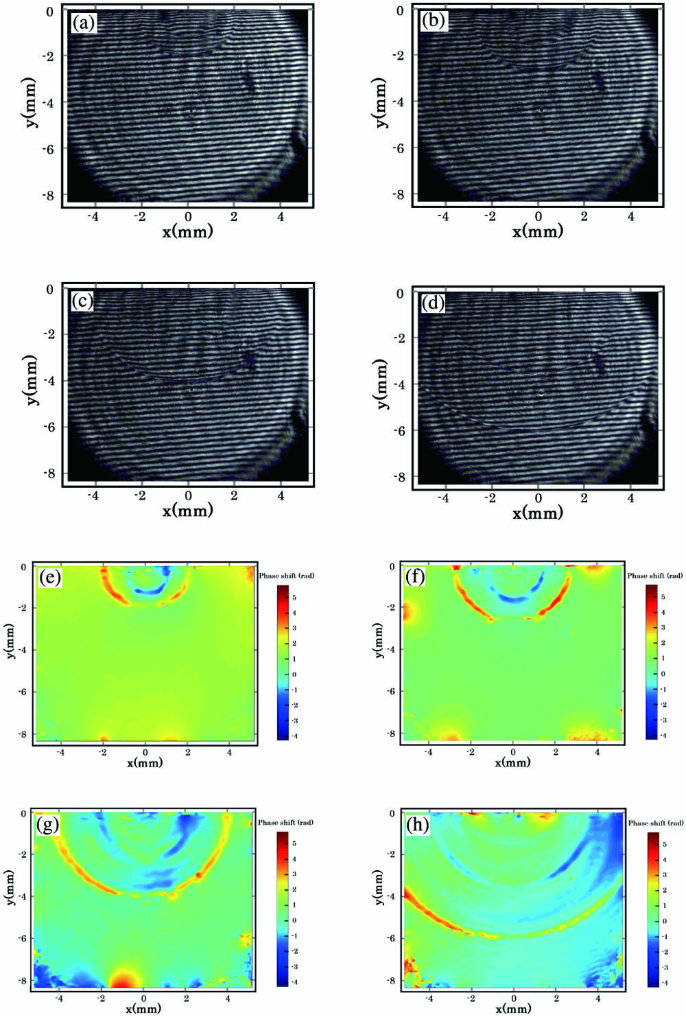Interferograms and phase distortions of interferograms at different time moments demonstrating the propagation of the longitudinal wave and the transverse wave (a), (e) at 0.4 µs, (b), (f) at 0.6 µs, (c), (g) at 0.8 µs, and (d), (h) at 1.0 µs.