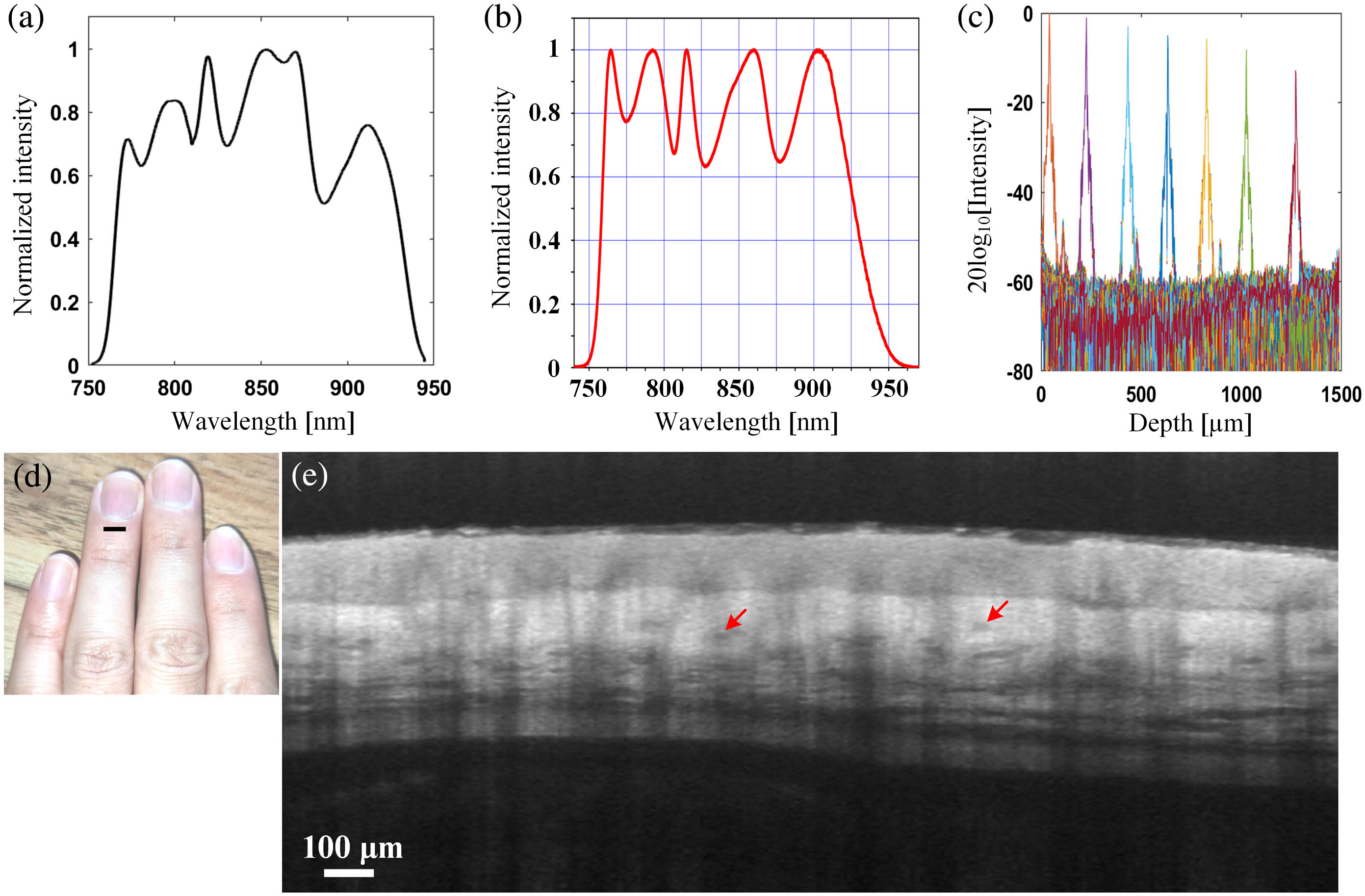 The results of the home-built SDOCT system. (a) The normalized power spectral density obtained by the customized spectrometer. (b) The reference data of the normalized power spectral density from the user manual of light source. (c) The point spread functions (PSFs) at different depths with an optical neutral density filter (OD = 2) inserted in the sample arm. (d) A healthy volunteer’s finger, and the marked position was scanned. (e) A 10 B-scans averaged structural image obtained by the proposed low-cost high-resolution spectrometer. The marked positions are blood vessels.