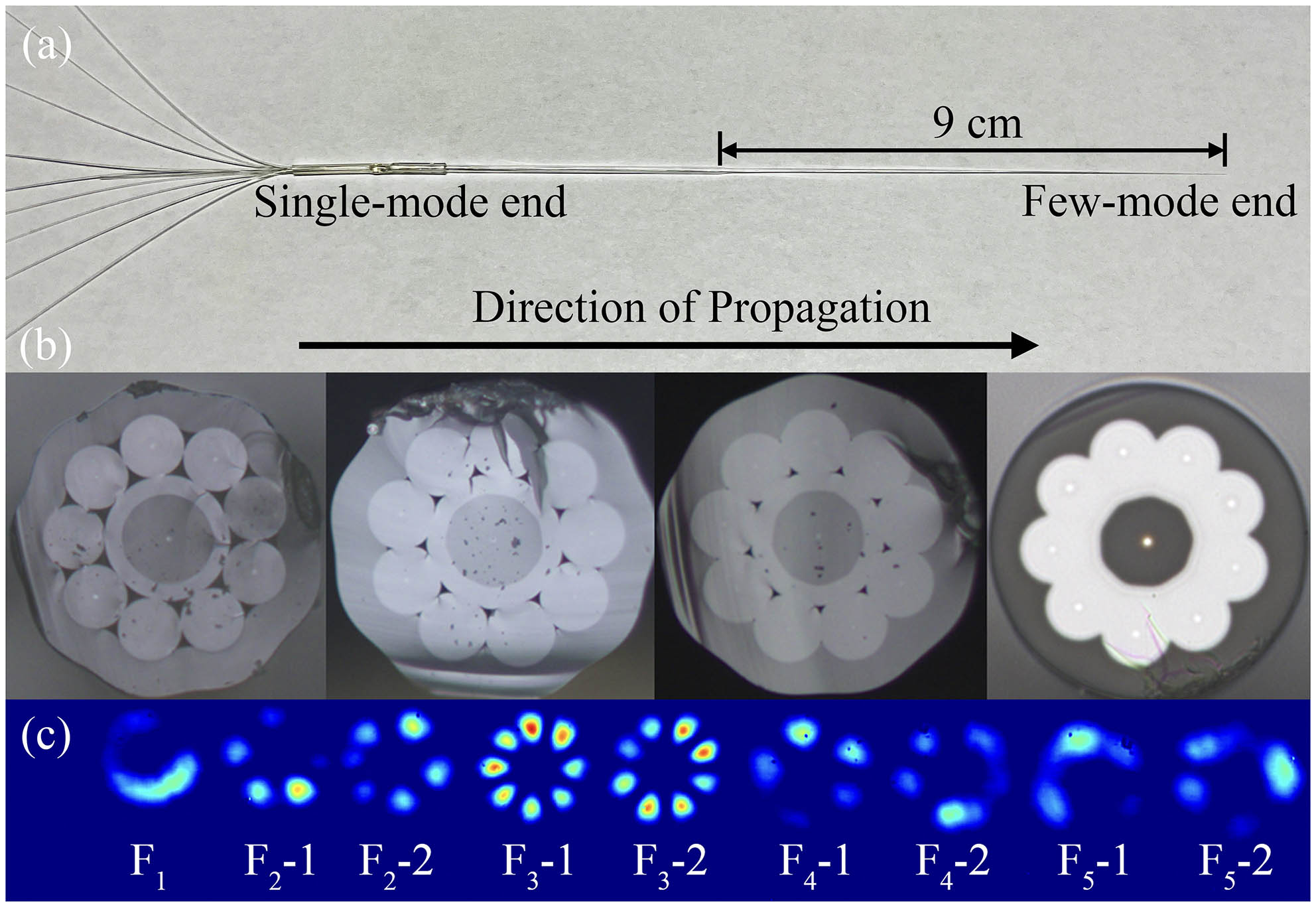 (a) Image of the fabricated PL; (b) image of the cross section along the taper; (c) output of the PL at 1550 nm with different single-mode fibers as input.