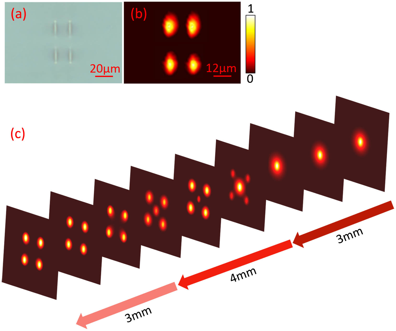 (a) Microscopic photograph of the cross section, (b) measured near-field modal profile along TM polarization at 632.8 nm, and (c) simulated modal profile evolution of the 3D waveguide coupler C4.