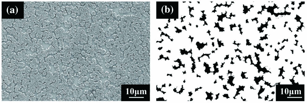 SEM images used for surface coverage calculation: (a) gray-scale image; (b) binarized image.