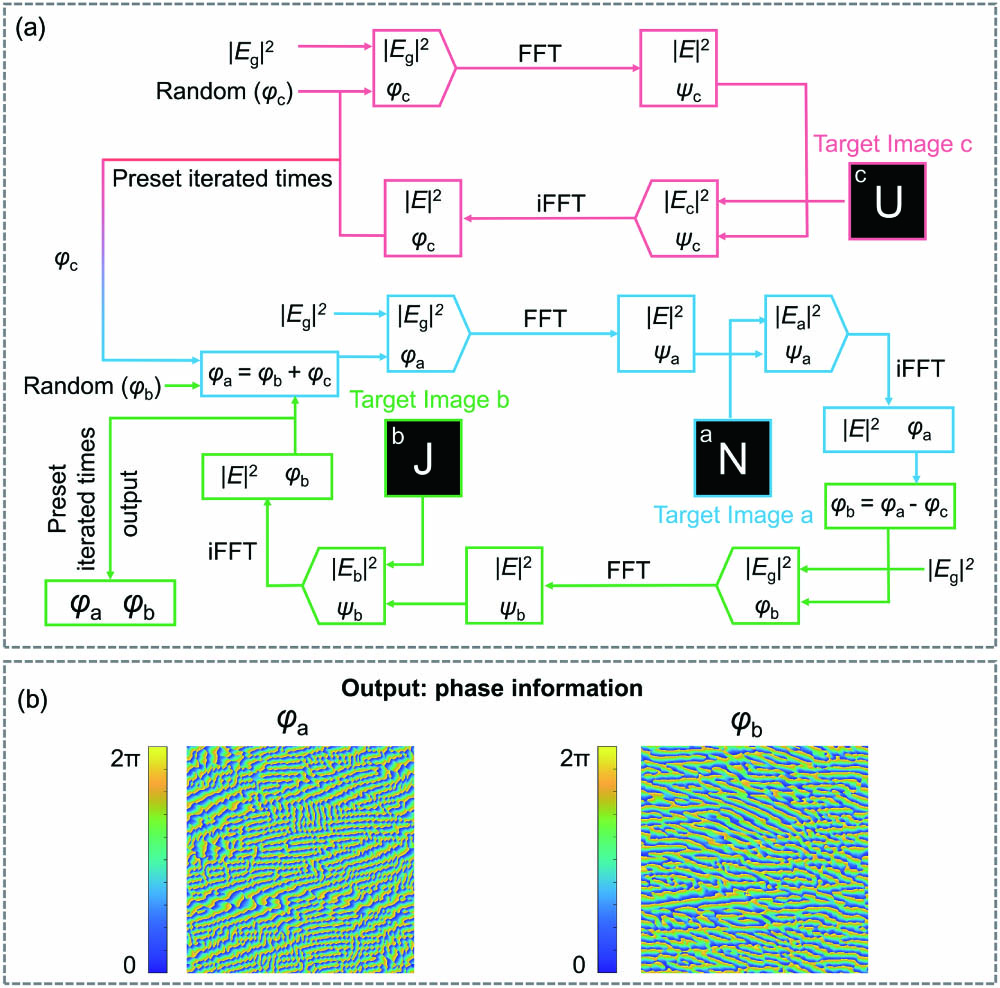 Flow chart of the iterative algorithm with the calculated LC phase holograms. (a) Modified Gerchberg–Saxton algorithm. Fast Fourier transform and inverse fast Fourier transform are denoted as FFT and iFFT. The red, blue, and green parts of the flow chart represent the parts involved in the generation of phase profiles of φc, φa, and φb. |Eg|2 corresponds to the amplitude of a standard Gaussian beam. (b) Output phase information for LC elements (LC_a and LC_b).