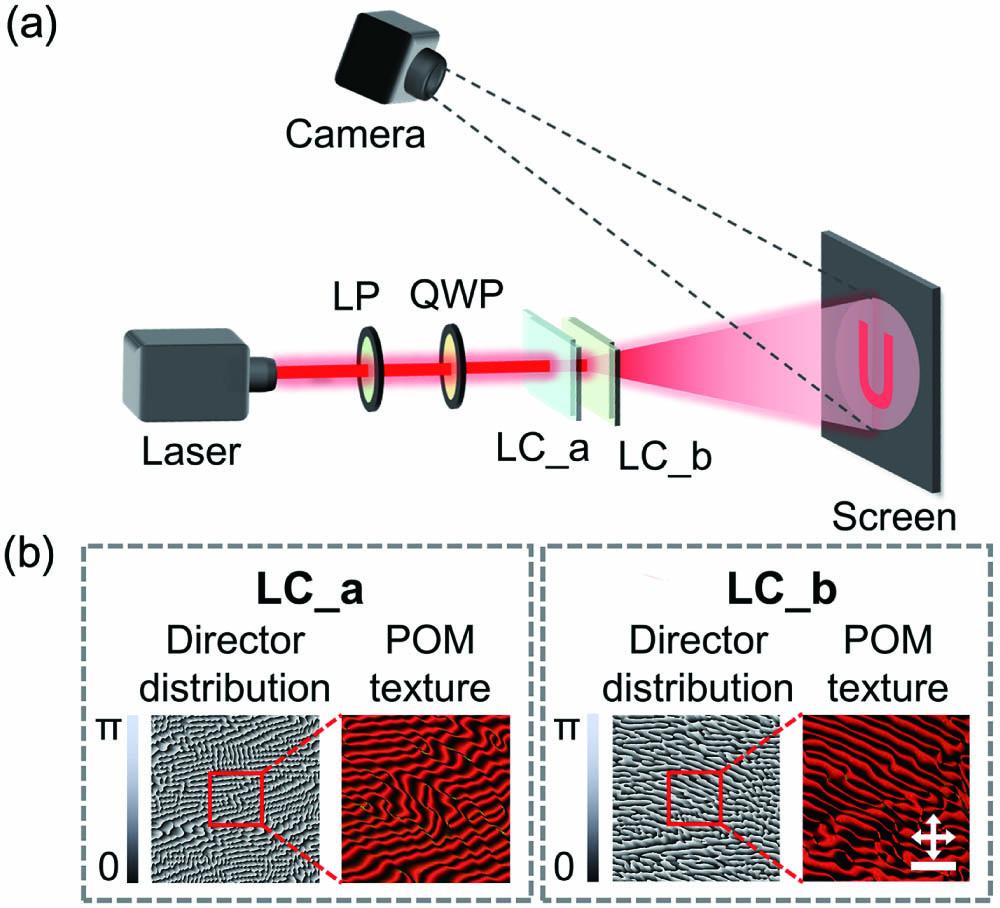 Experimental setup and two LC elements (LC_a and LC_b) for secret sharing. (a) Experimental setup to record the holographic images. The optical path contains either one LC element or both the LC_a and LC_b. LP, linear polarizer; QWP, quarter-wave plate. (b) Designed phase profile of LC director distributions and the crossed polarized microscopic textures of LC_a and LC_b; the orthogonal polarizer and analyzer are represented by crossed white arrows. Scale bar: 75 µm.