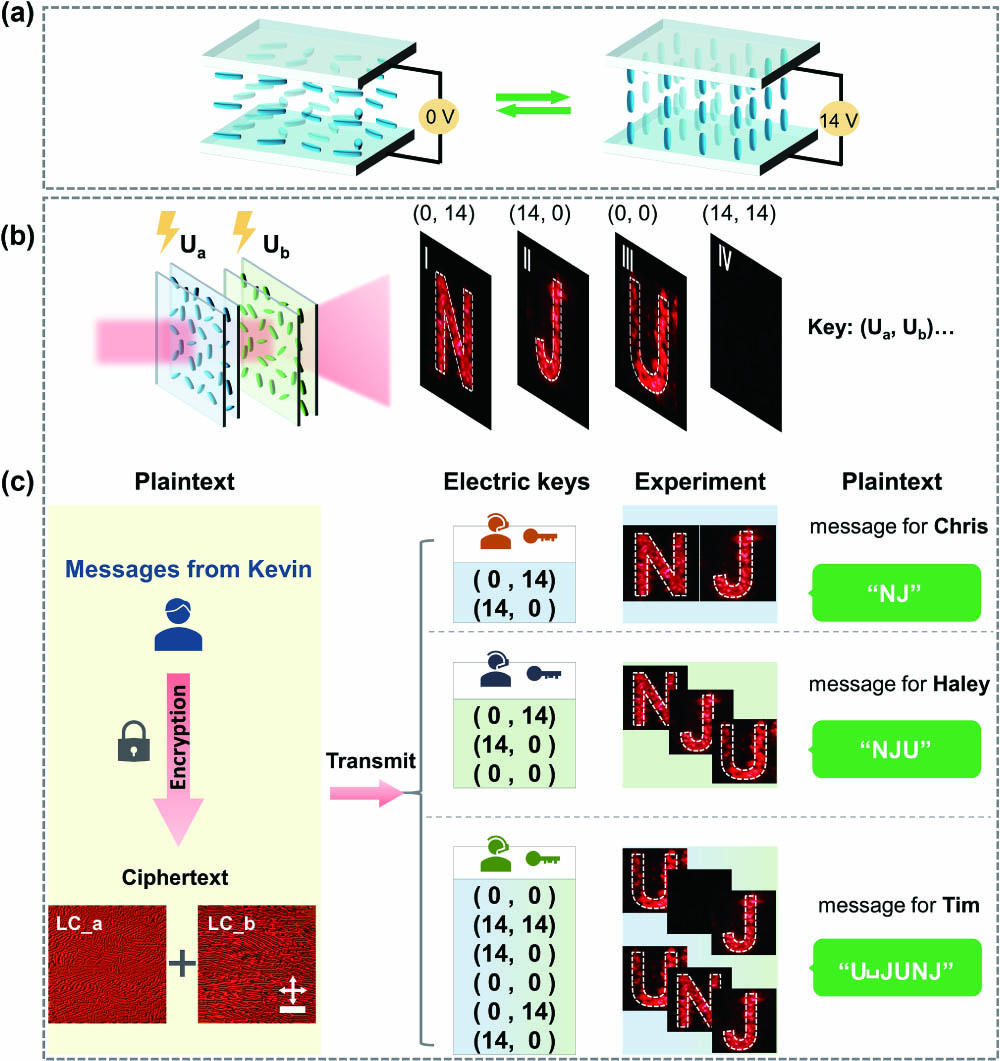 Electrically dynamic optical encryption based on cascaded LC holography. (a) Schematic illustration of the electric switching of LC hologram with different applied voltages (0 V and 14 V); (b) four basic holographic images in the cascaded LC framework with different combinations of applied voltages; (c) electrically dynamic optical encryption based on cascaded LC holography for the scenario, where ciphers or passwords are sent to multiple receivers. Scale bar: 250 µm.