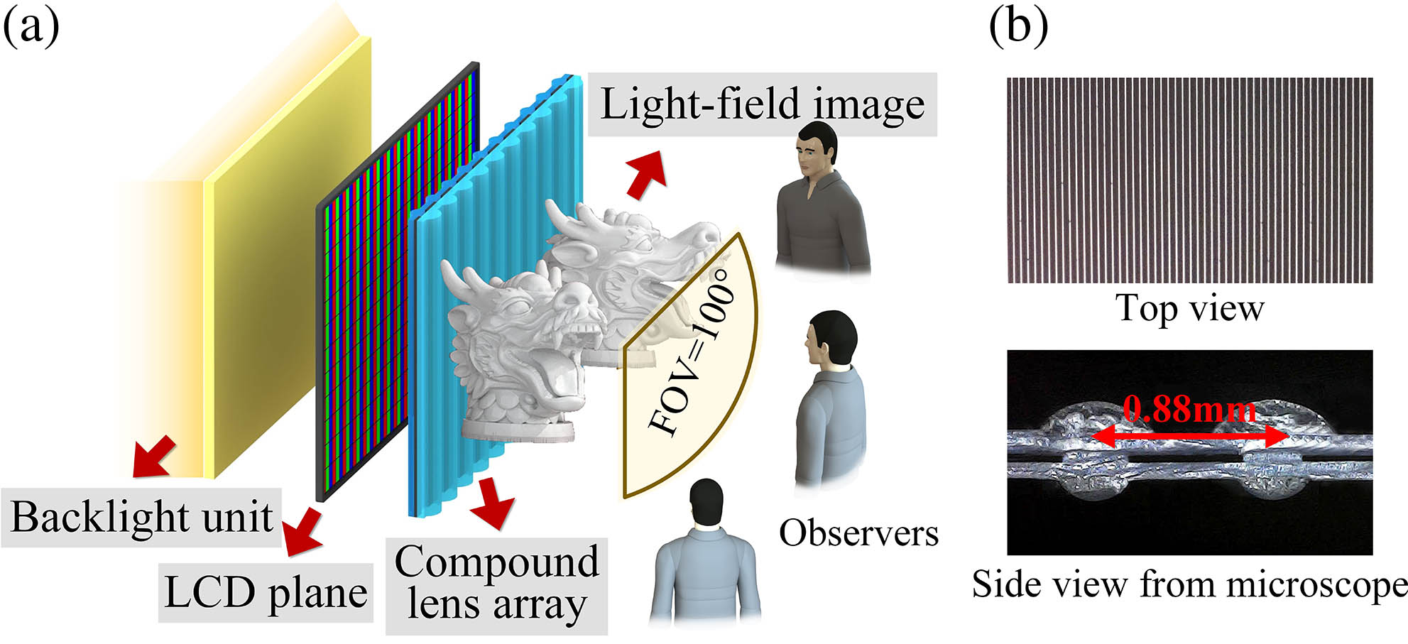 (a) Configuration of the experimental 3D LFD system; (b) structural diagram of the proposed compound lens array.