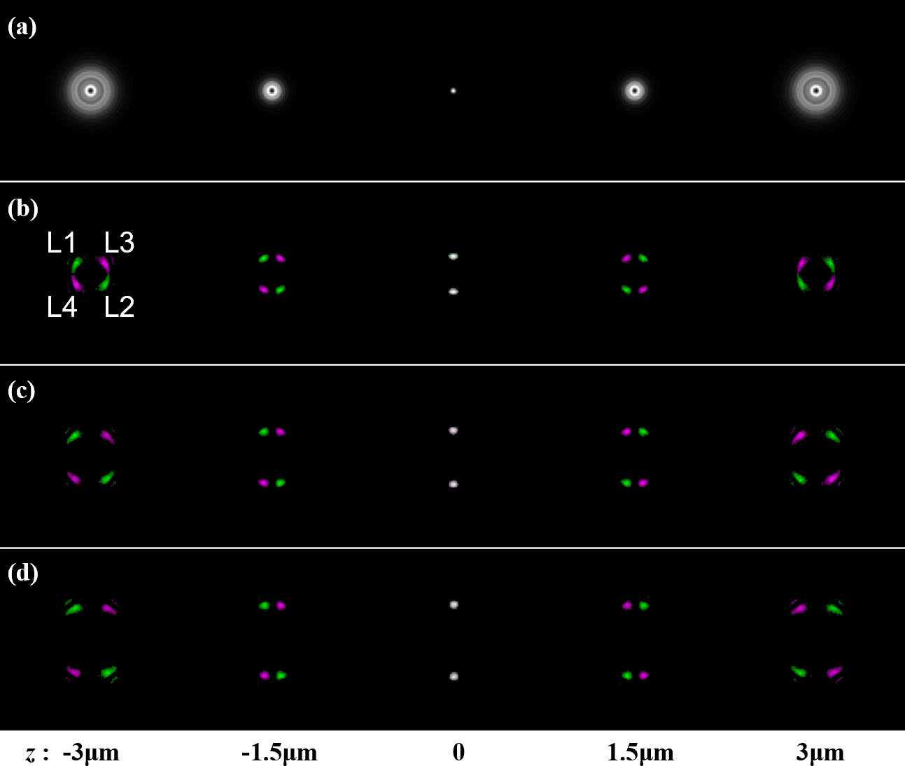Numerical simulation on a 0.75 NA imaging system over a depth range of 6 µm. (a) Diffraction-limited PSF; (b)–(d) geometric phase helical PSF of different lobe separation and rotation rate, with parameter L = 7, 11, and 14, respectively, and ϵ = 0.9. L1, L2 are labels for the LCP lobes and L3, L4 are labels for the RCP lobes.