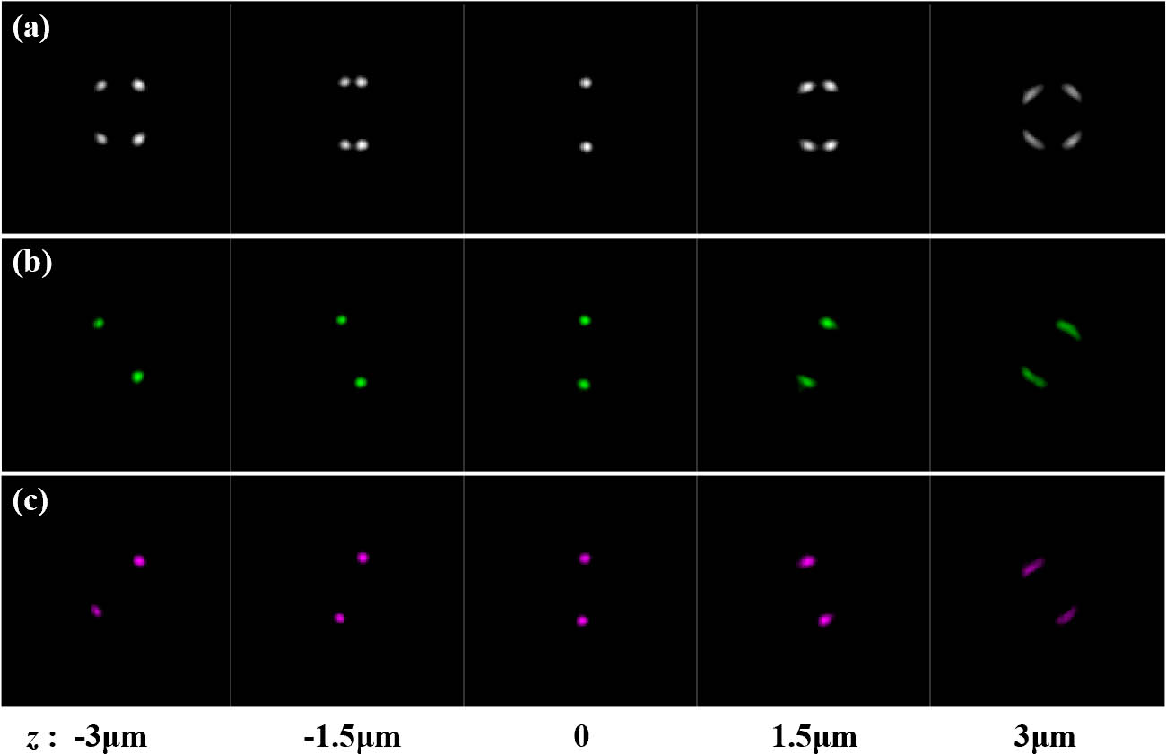 Experimental image stacks of the geometric phase helical PSF over a depth range of 6 µm. (a) Total intensity; (b) with RCP filtered out; and (c) with LCP filtered out.