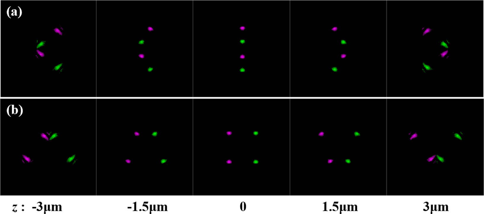 Asymmetric designs of the geometric helical PSF. (a) LCP and RCP with opposite shifts in the y direction; (b) LCP and RCP with opposite shifts in the x direction.