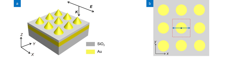 (a) 金纳米锥与金纳米薄膜复合结构三维示意图;(b) 结构俯视图,红色方框为计算单元