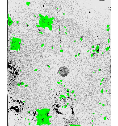 实验区障碍物标注真值图