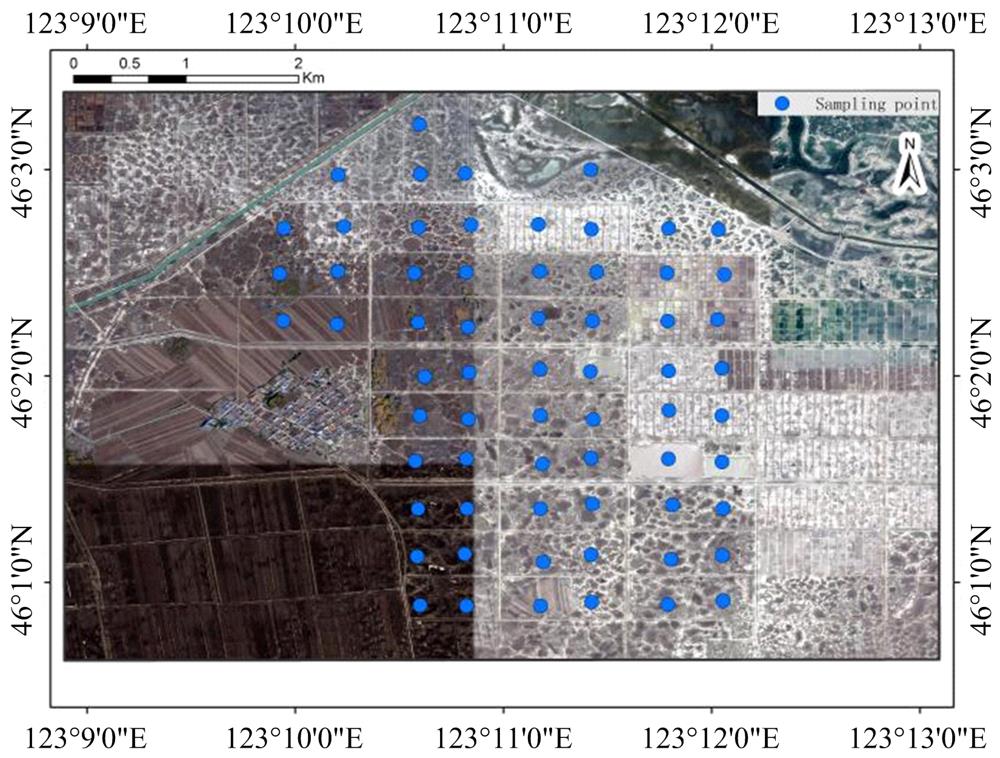 径向基神经网络的苏打盐碱地重金属定量反演