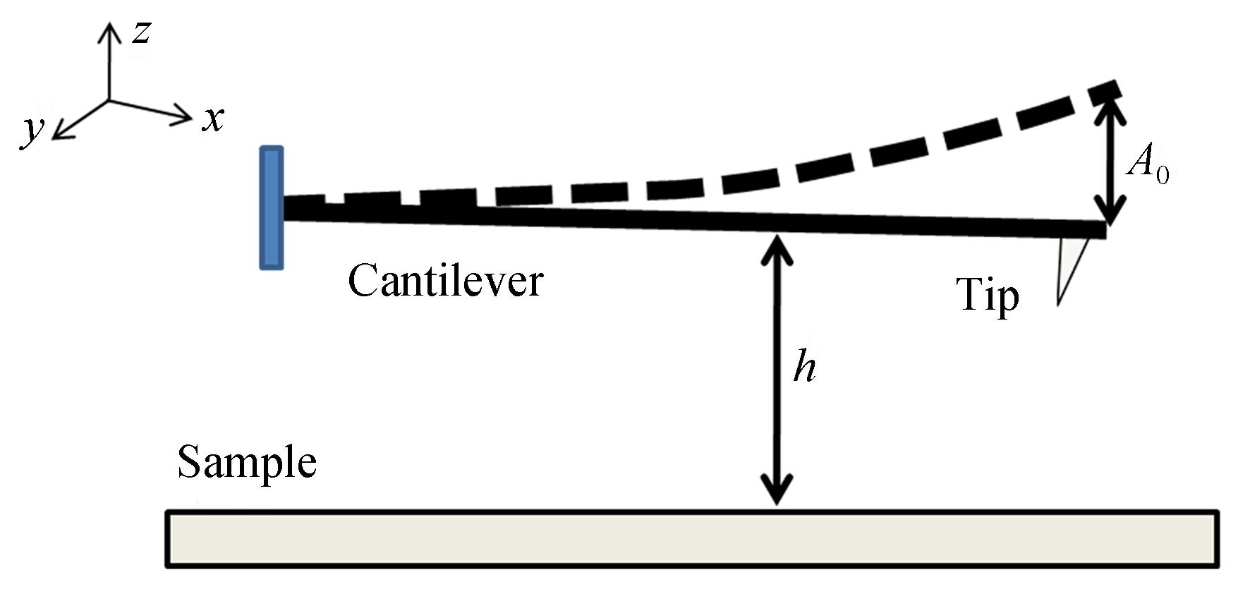 微悬臂-试样简化模型示意图