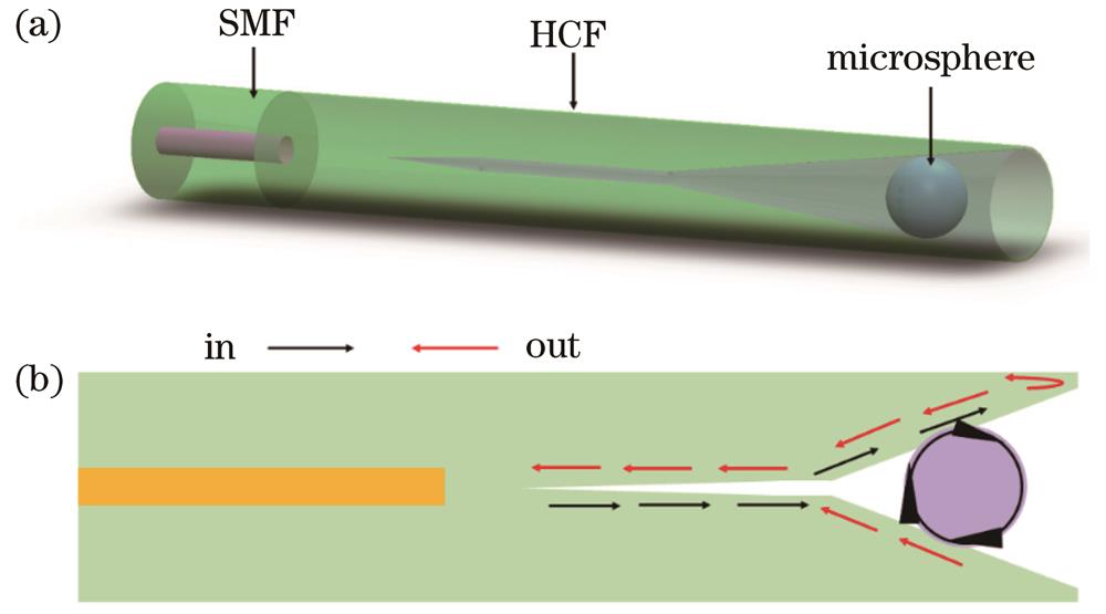 在纤式WGM微球谐振腔结构和光路示意图。(a)结构示意图;(b)光路示意图