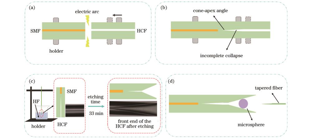 传感结构制备过程。(a)(b) SMF与HCF熔接;(c)腐蚀HCF;(d)微球置入HCF内部