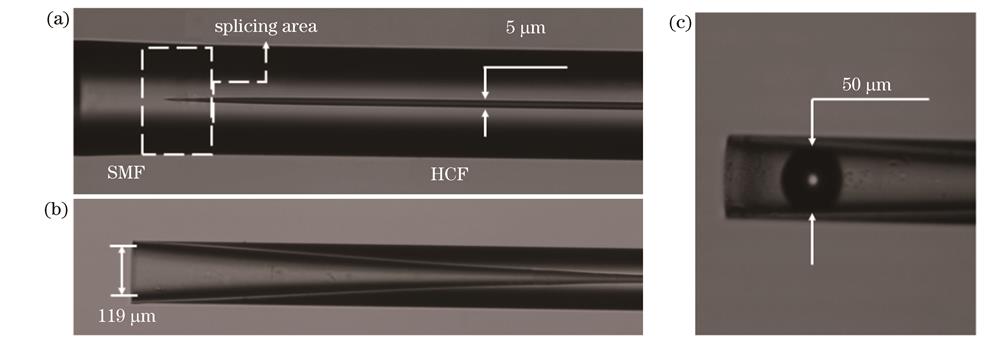在纤式微球谐振腔的显微镜图像。(a) SMF与HCF熔接处形成塌陷锥角;(b) HCF腐蚀后形成圆锥体;(c)微球嵌入后的谐振腔结构