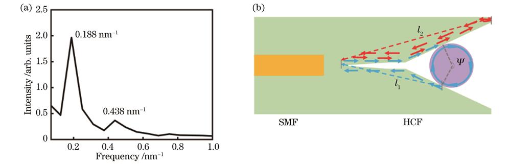通过FFT获得的空间频谱和在纤式WGM微球谐振腔的耦合光路示意图。(a)空间频谱;(b)耦合光路示意图