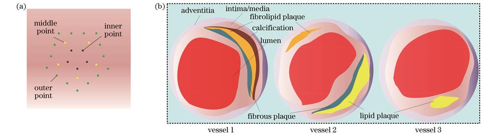 仿真点阵模型和仿真血管模型的几何结构。(a)仿真点阵模型;(b)仿真血管模型