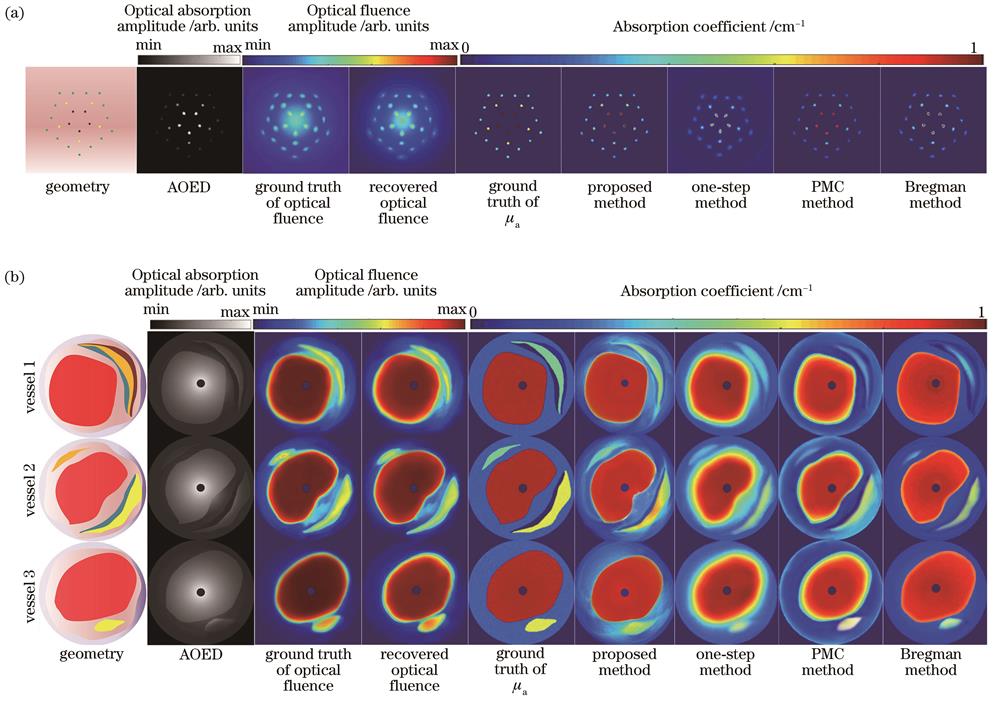 仿真模型的图像结果。(a)点阵模型;(b)血管模型